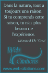 Dans la nature, tout a toujours une raison. Si tu comprends cette raison, tu n'as plus besoin de l'expérience.
