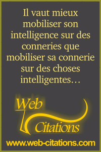 Il vaut mieux mobiliser son intelligence sur des conneries que ... Il vaut mieux mobiliser son intelligence sur des conneries que ...